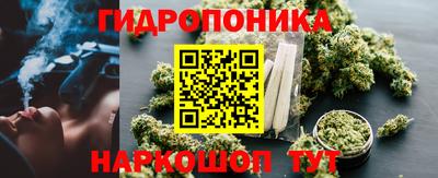 стаф Ливны