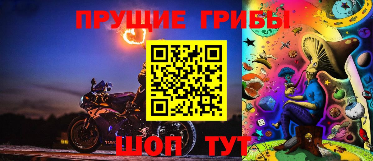 Дзержинск  Псилоцибиновые грибы ЛСД  Вход с VPN  Псилоцибиновые грибы GOLDEN TEACHER 